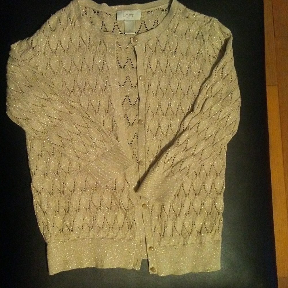 Ann Taylor loft sweater